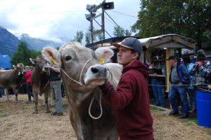 Championwahlen Rinder BS